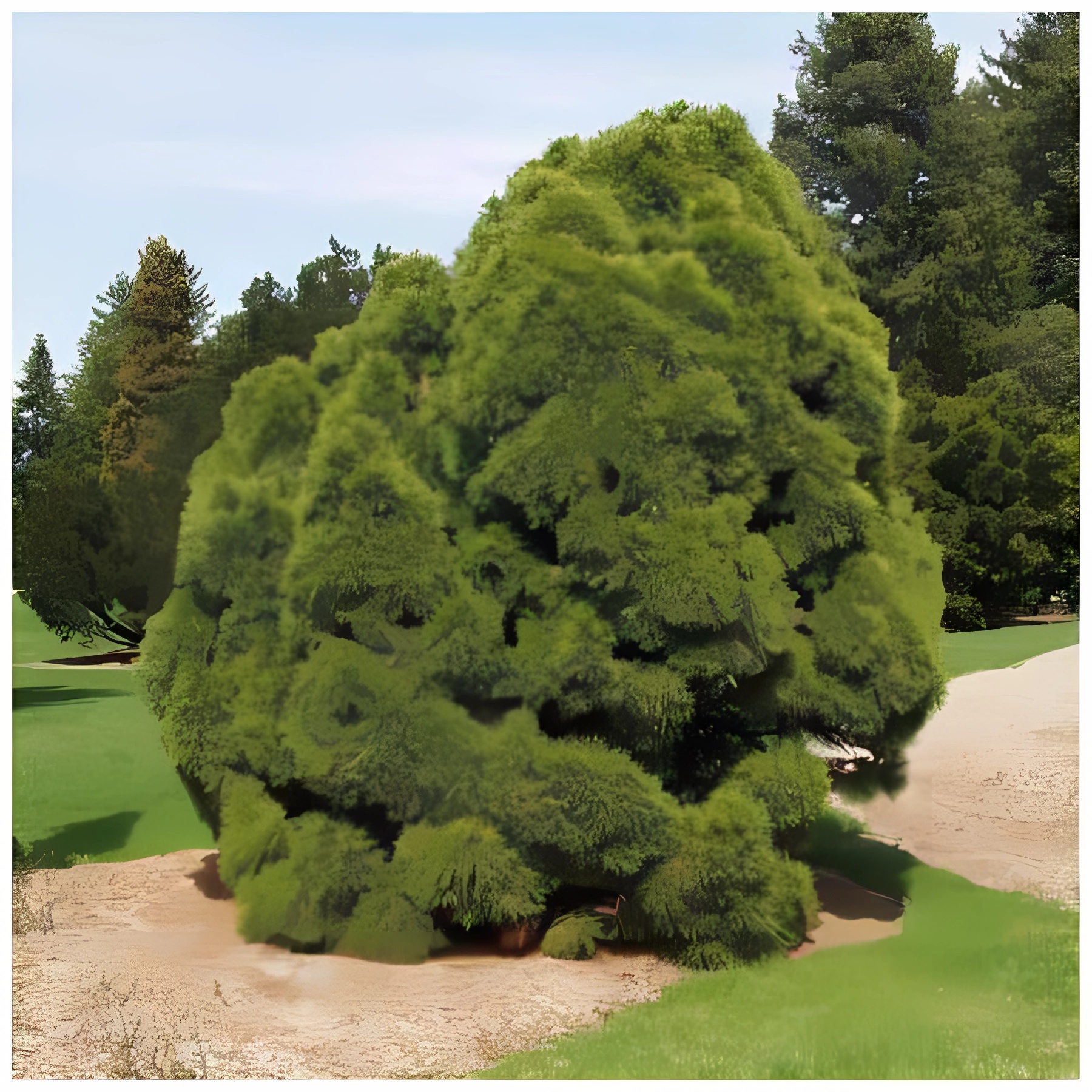 Превью изображения