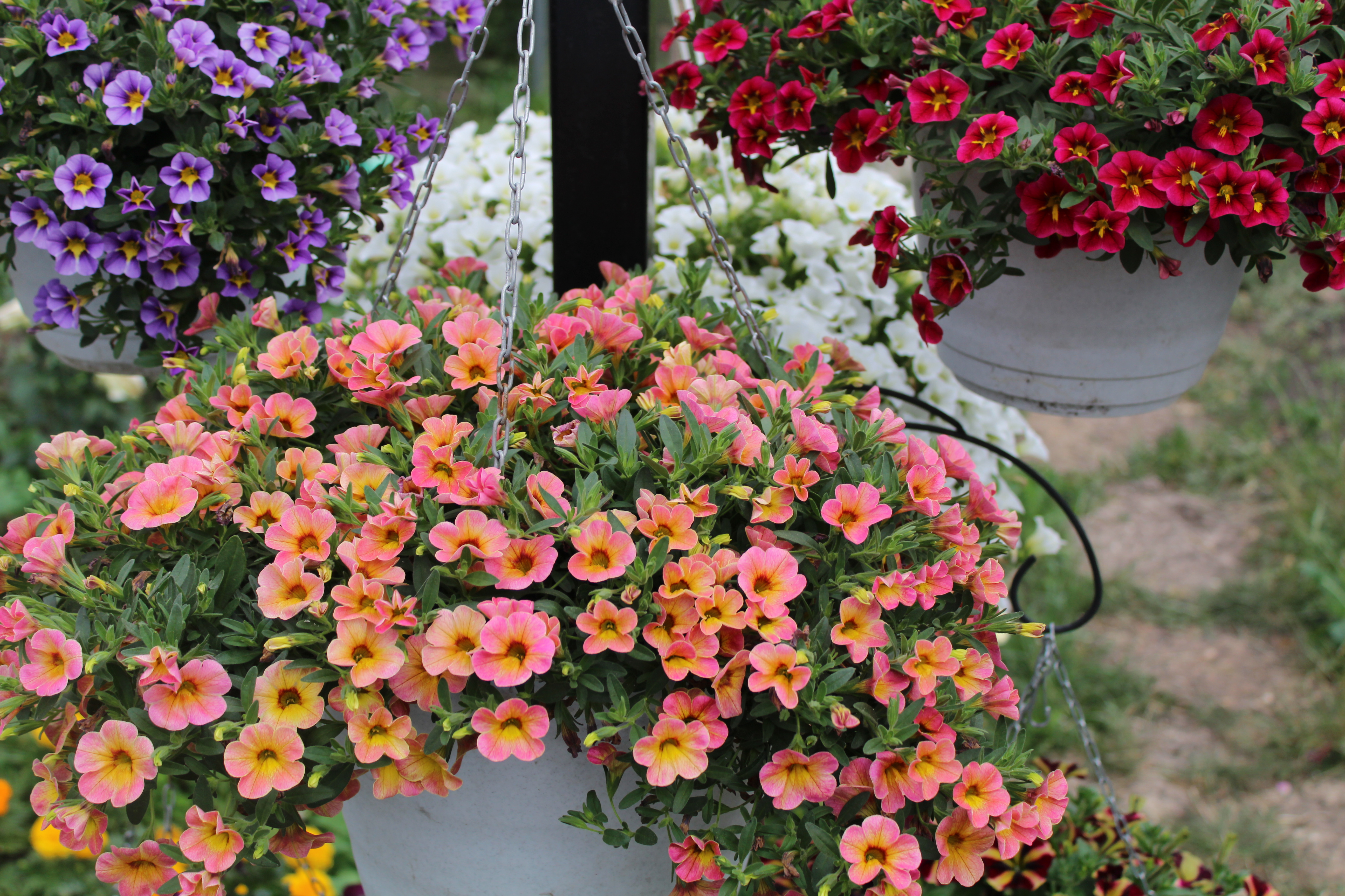 Превью изображения