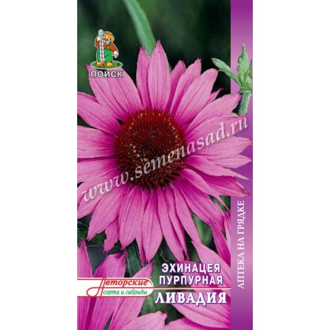 Превью изображения
