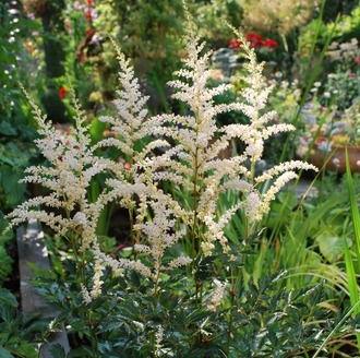 Превью изображения