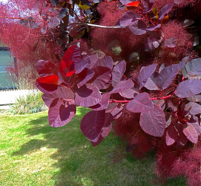 Превью изображения