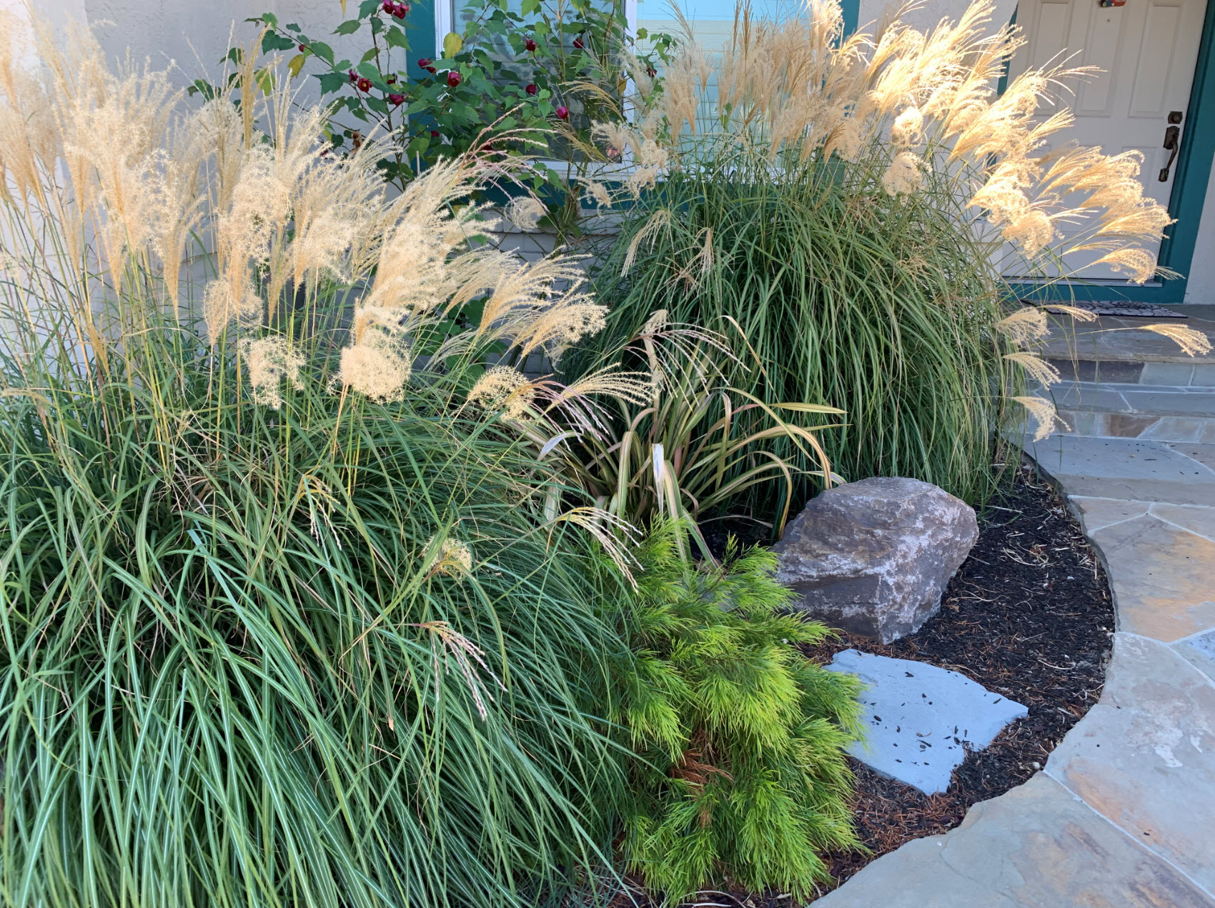 Превью изображения