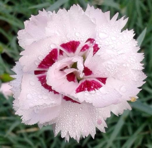 Превью изображения