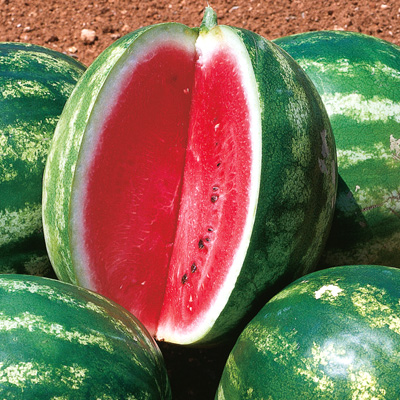 Превью изображения