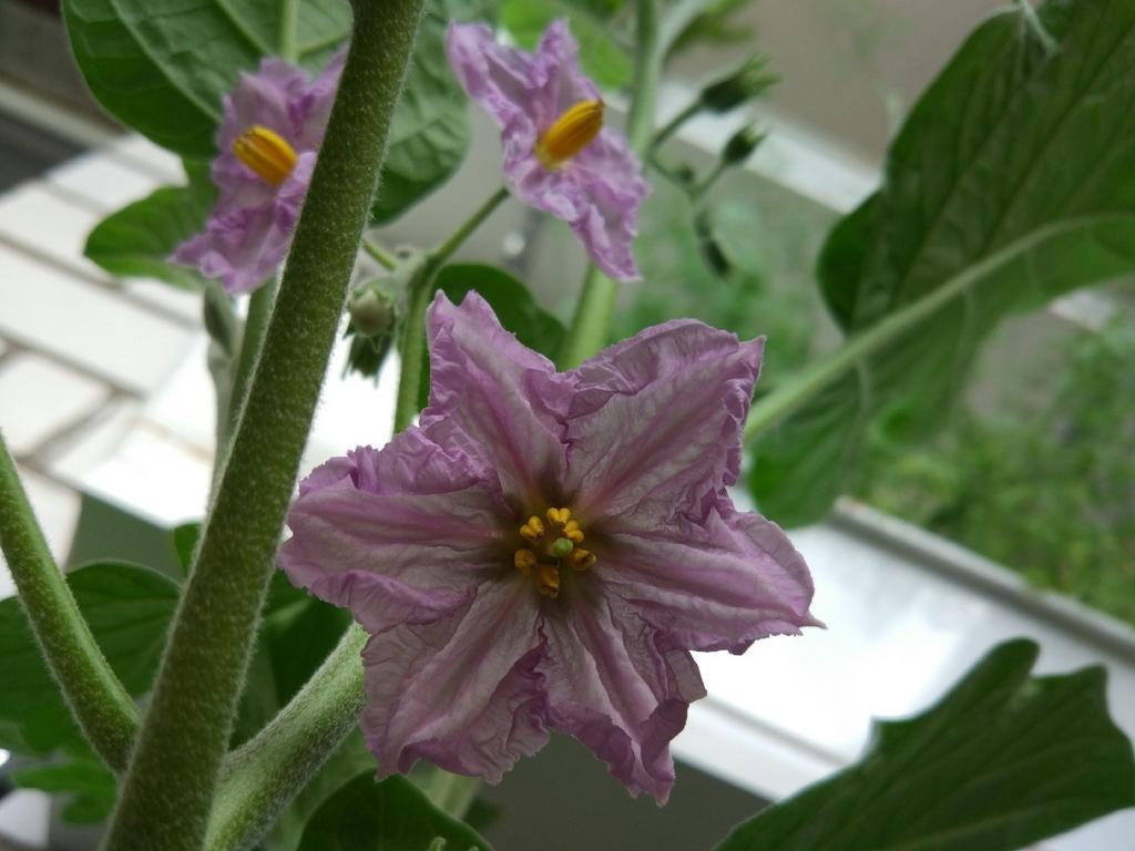 Превью изображения