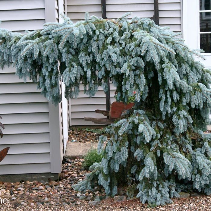 Превью изображения
