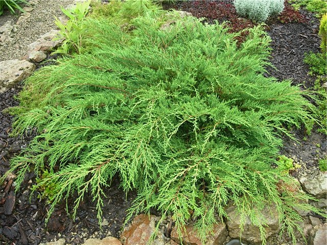 Превью изображения