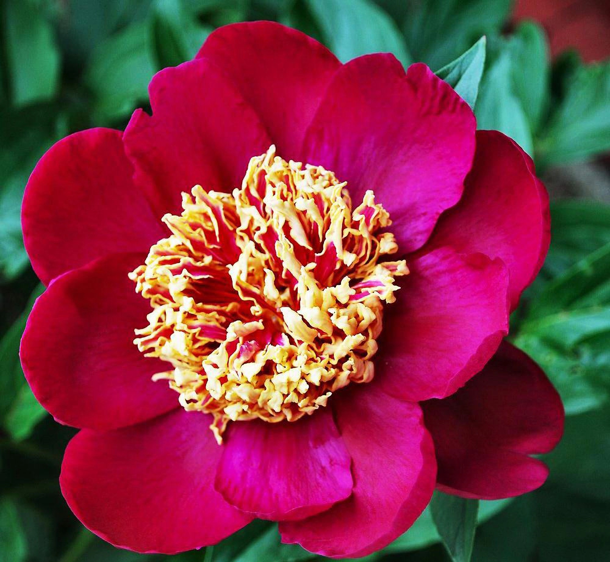 Превью изображения