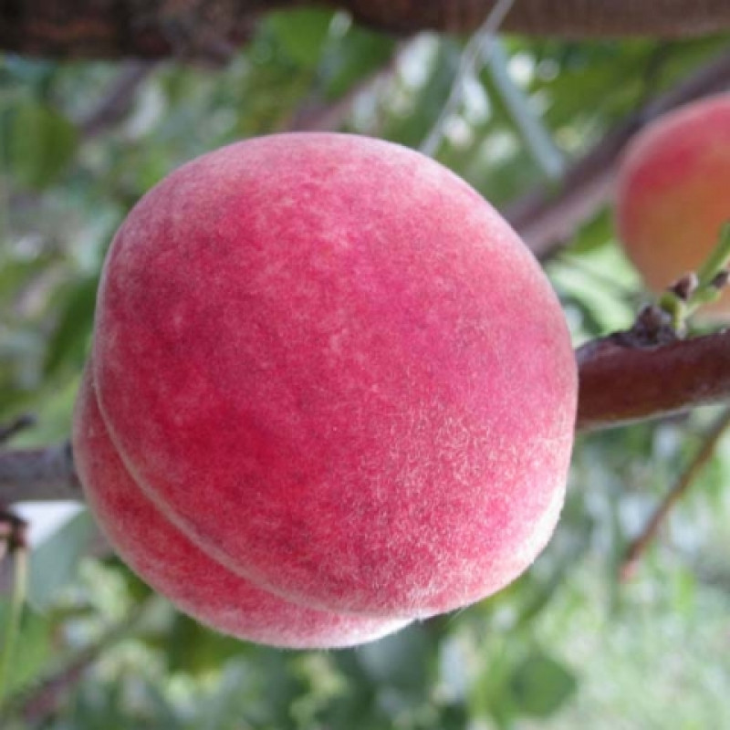 Превью изображения