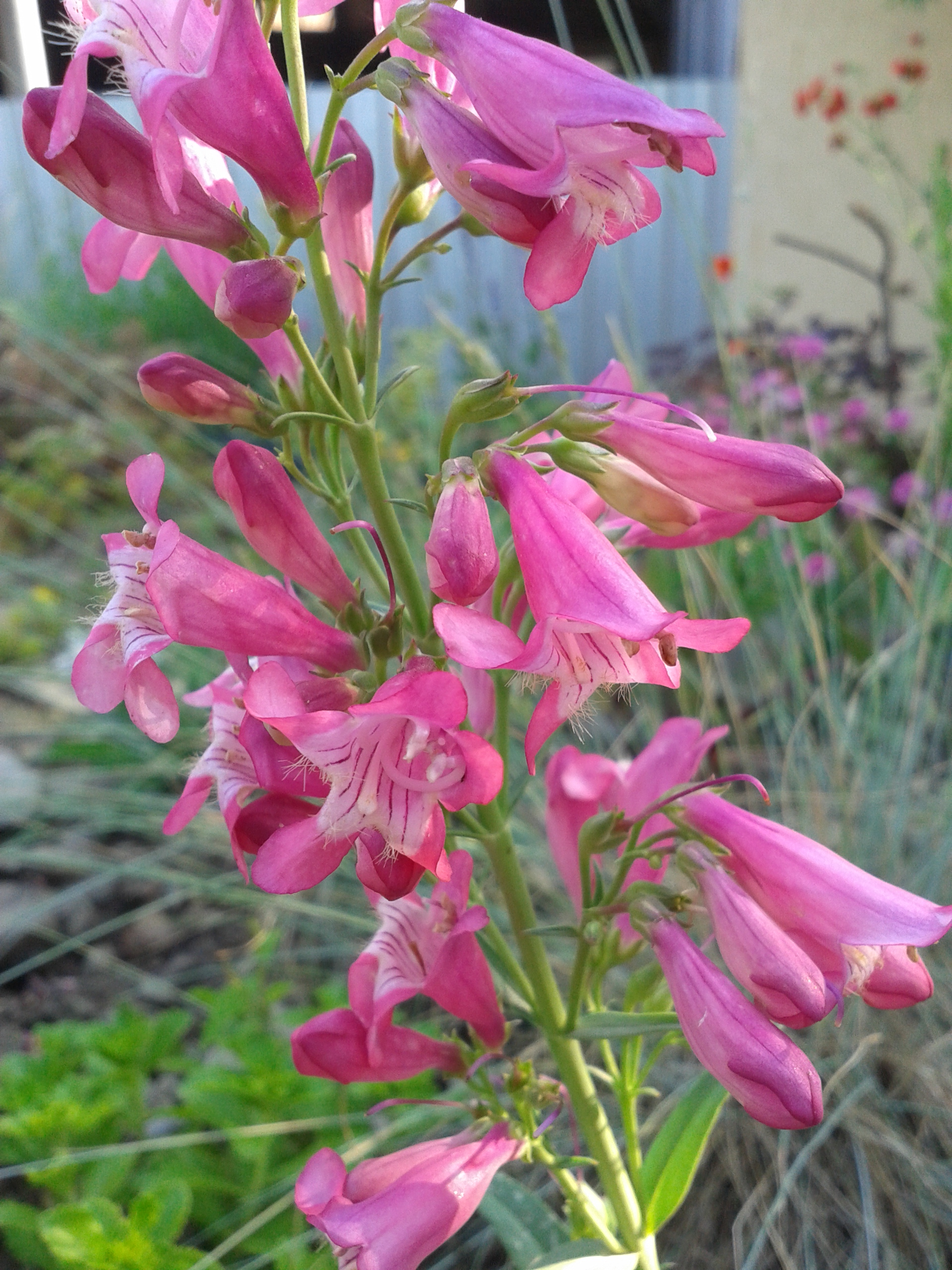 Превью изображения