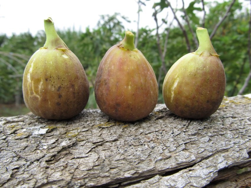 Превью изображения