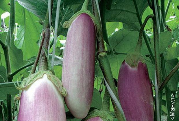 Превью изображения