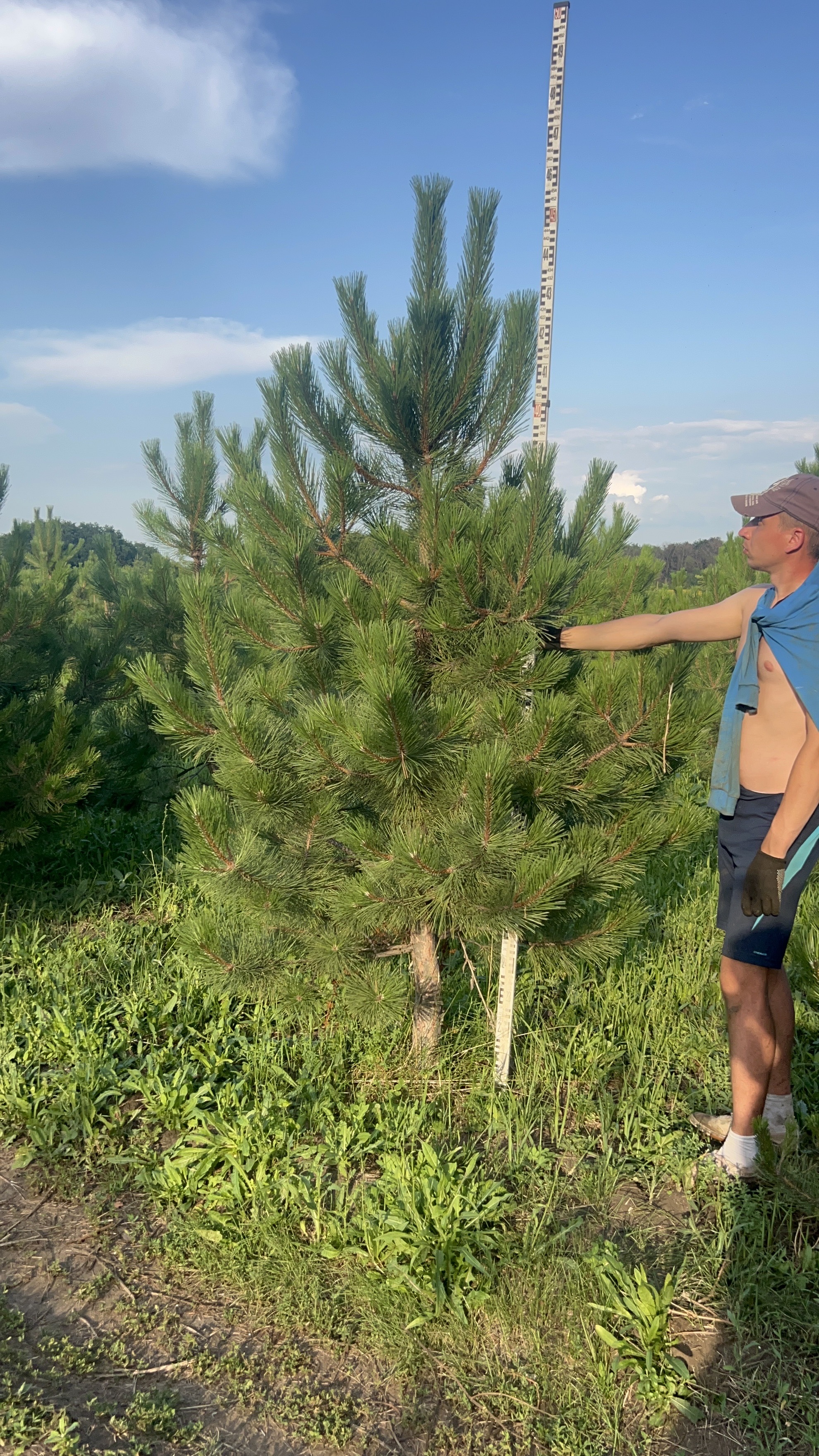 Превью изображения