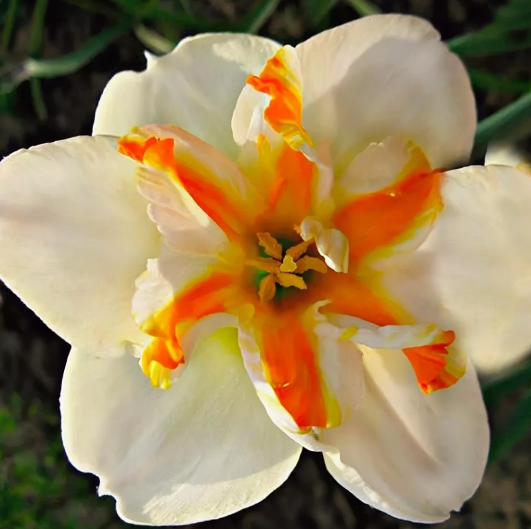 Превью изображения