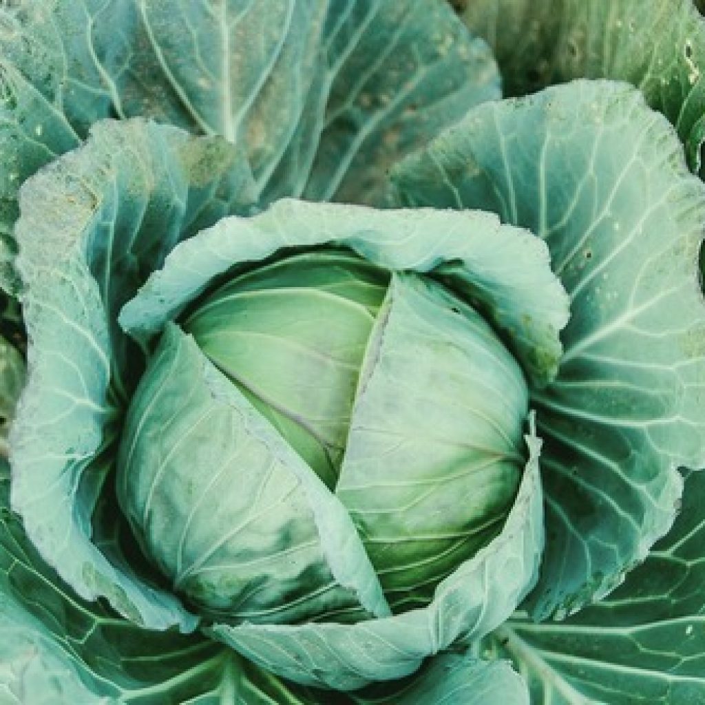 Превью изображения