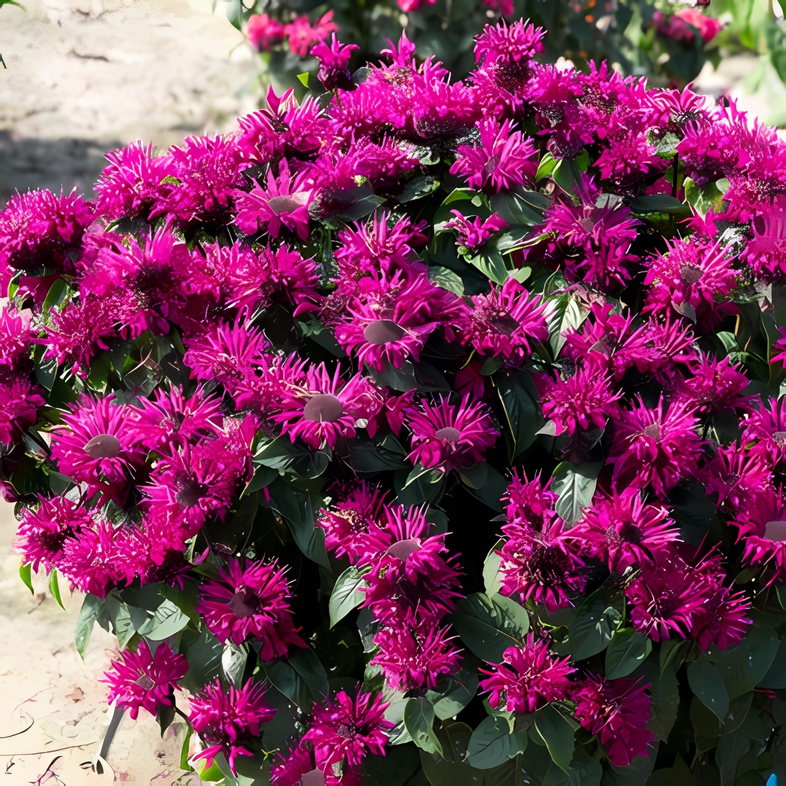 Превью изображения