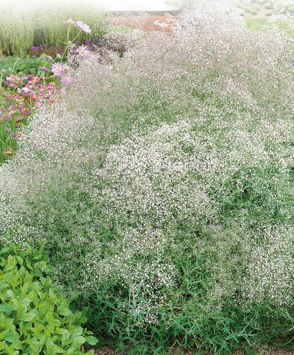 Превью изображения