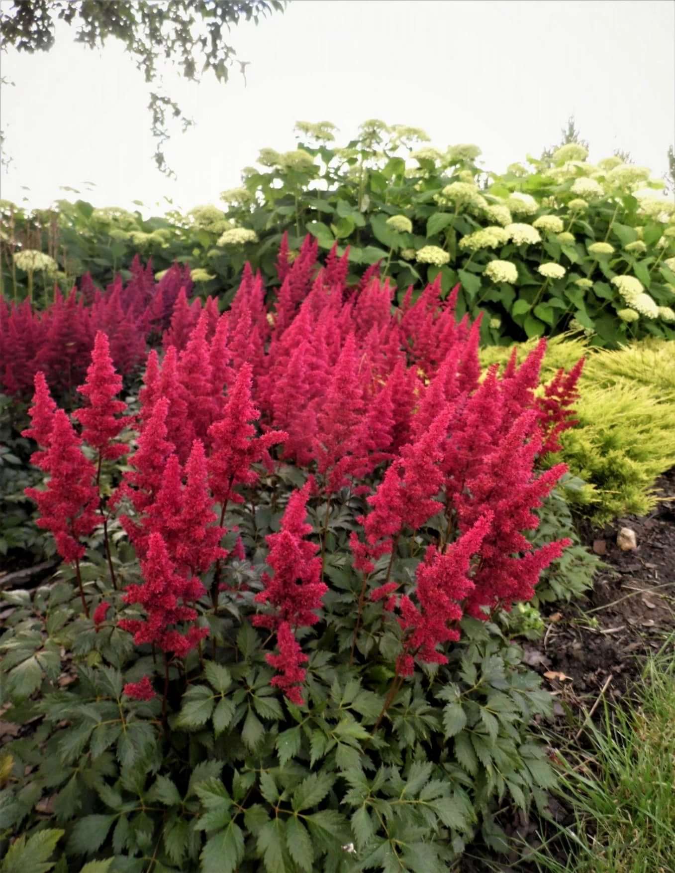 Превью изображения