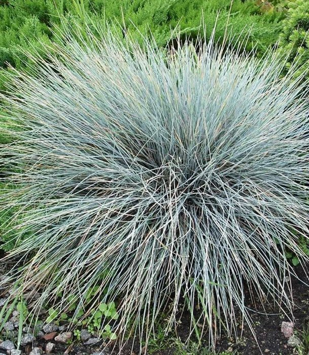 Превью изображения