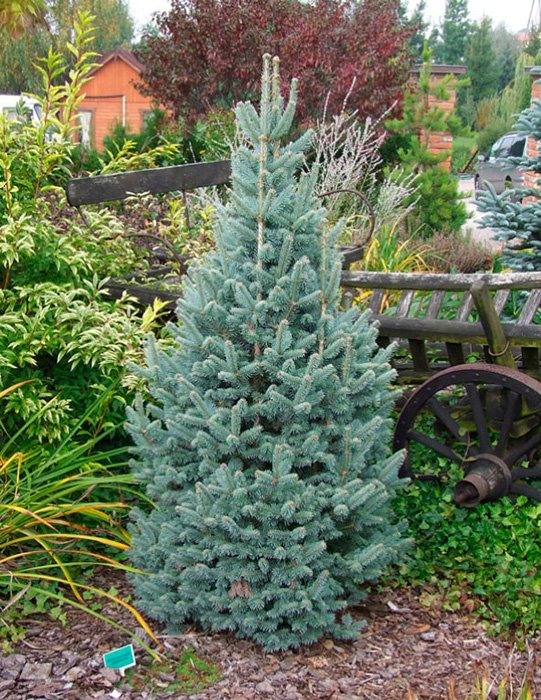 Превью изображения