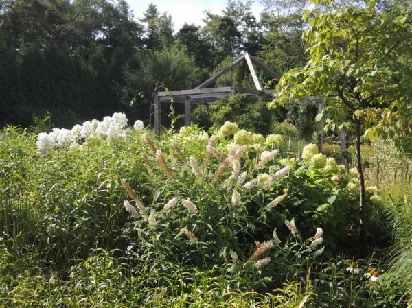 Превью изображения