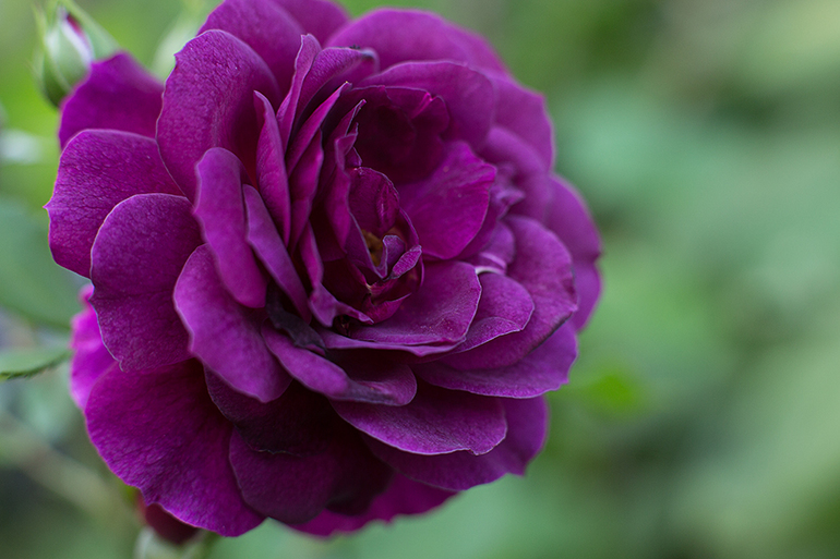 Превью изображения