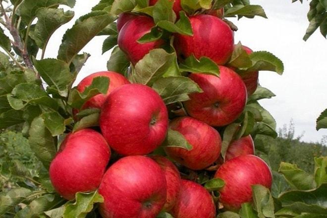 Превью изображения