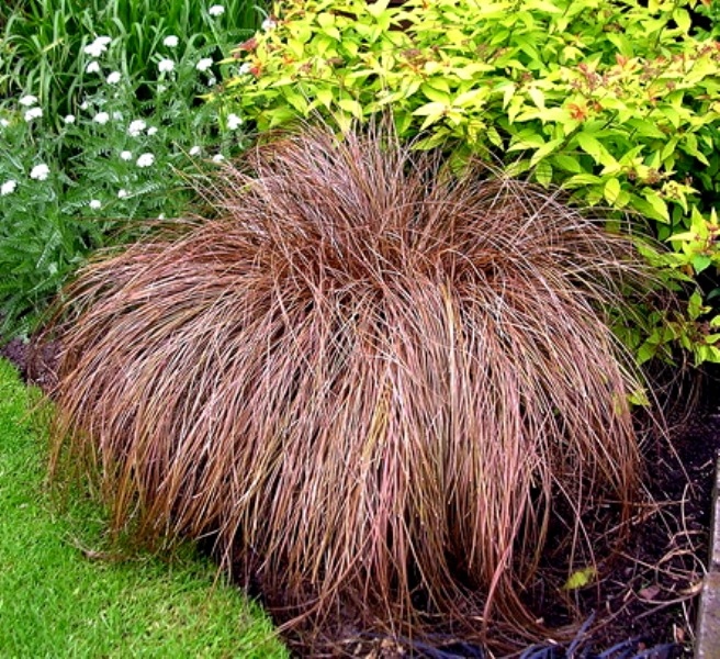 Превью изображения