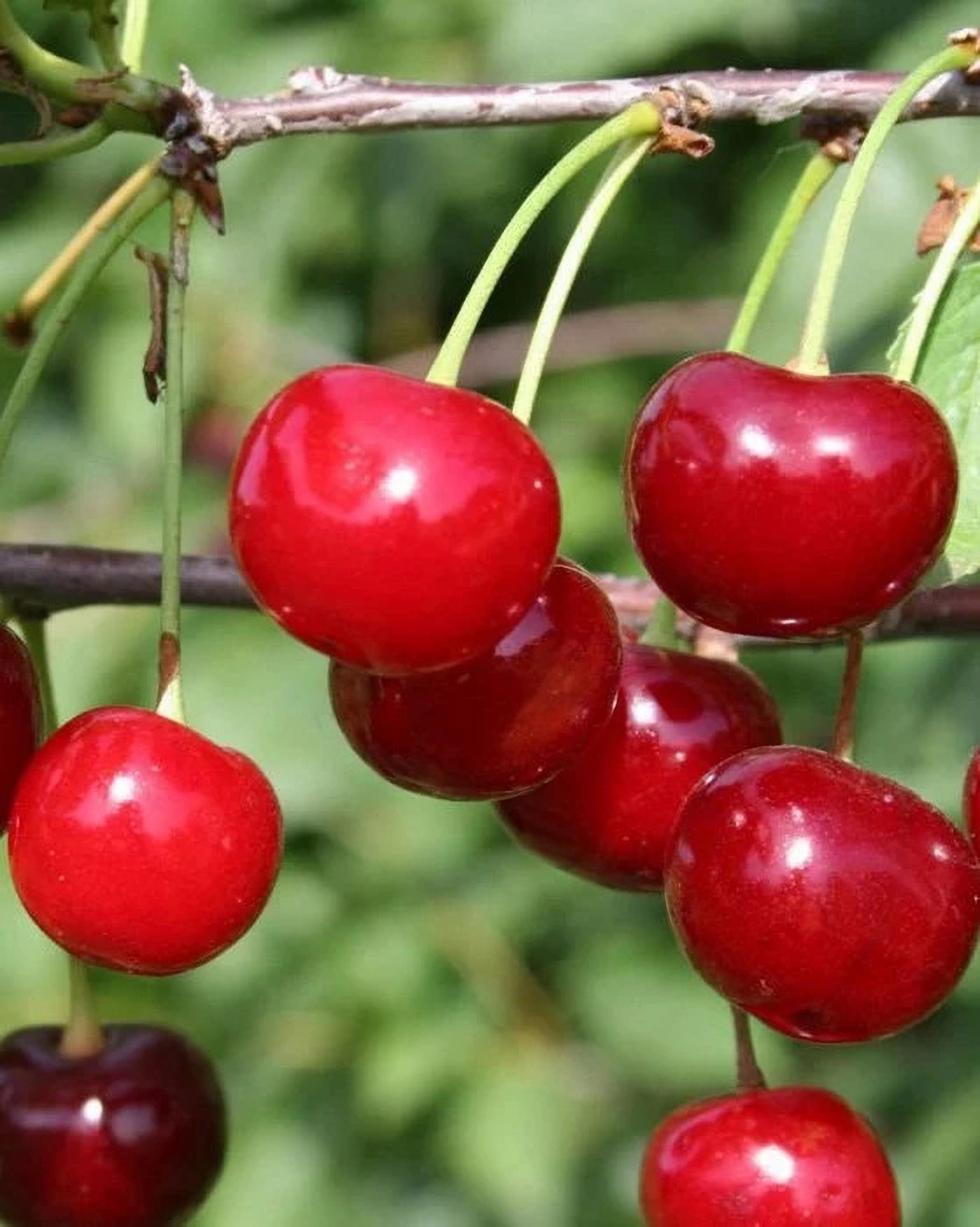 Превью изображения