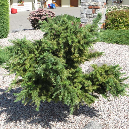 Превью изображения