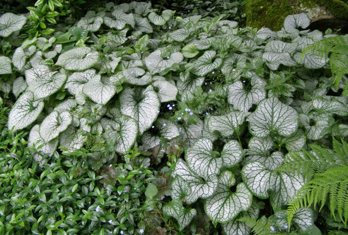 Превью изображения