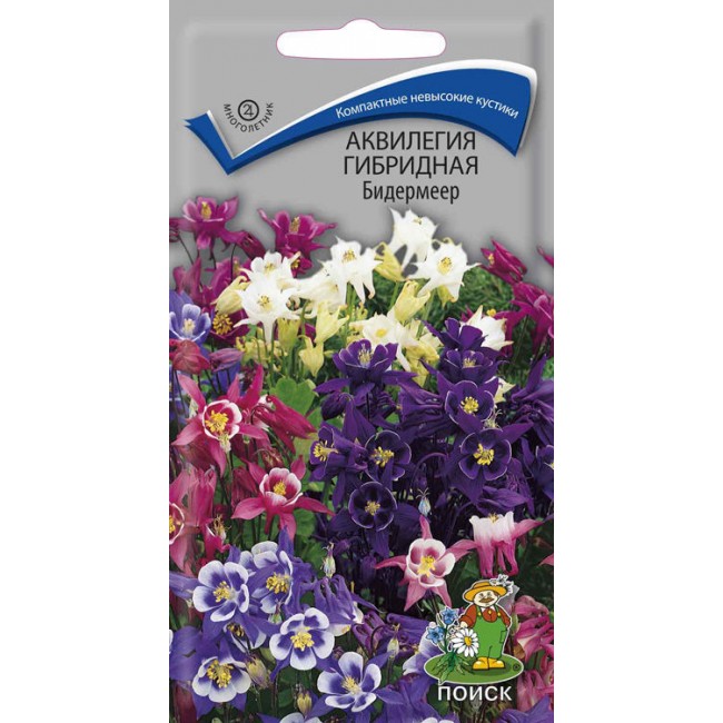 Превью изображения