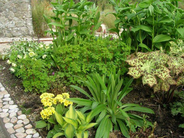 Превью изображения