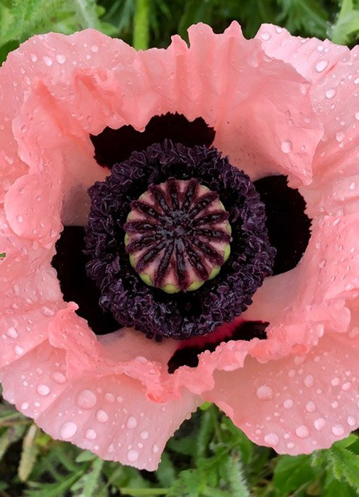 Превью изображения