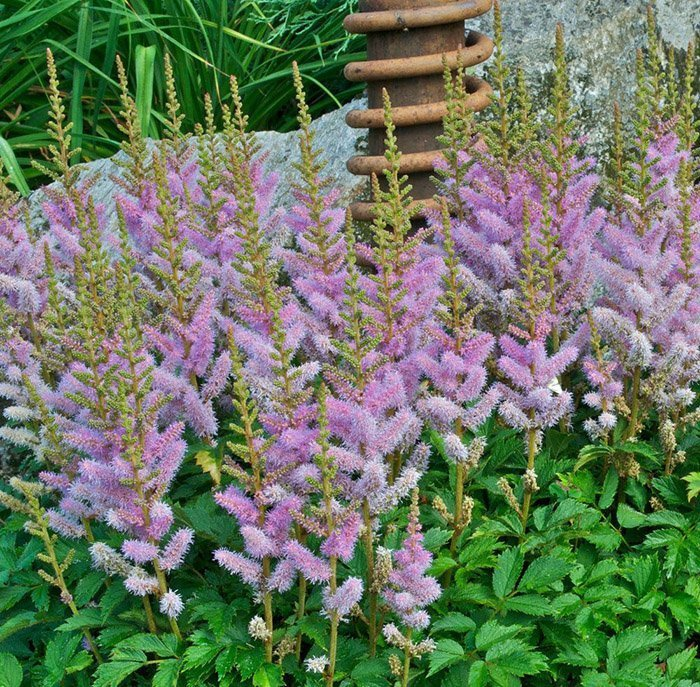 Превью изображения