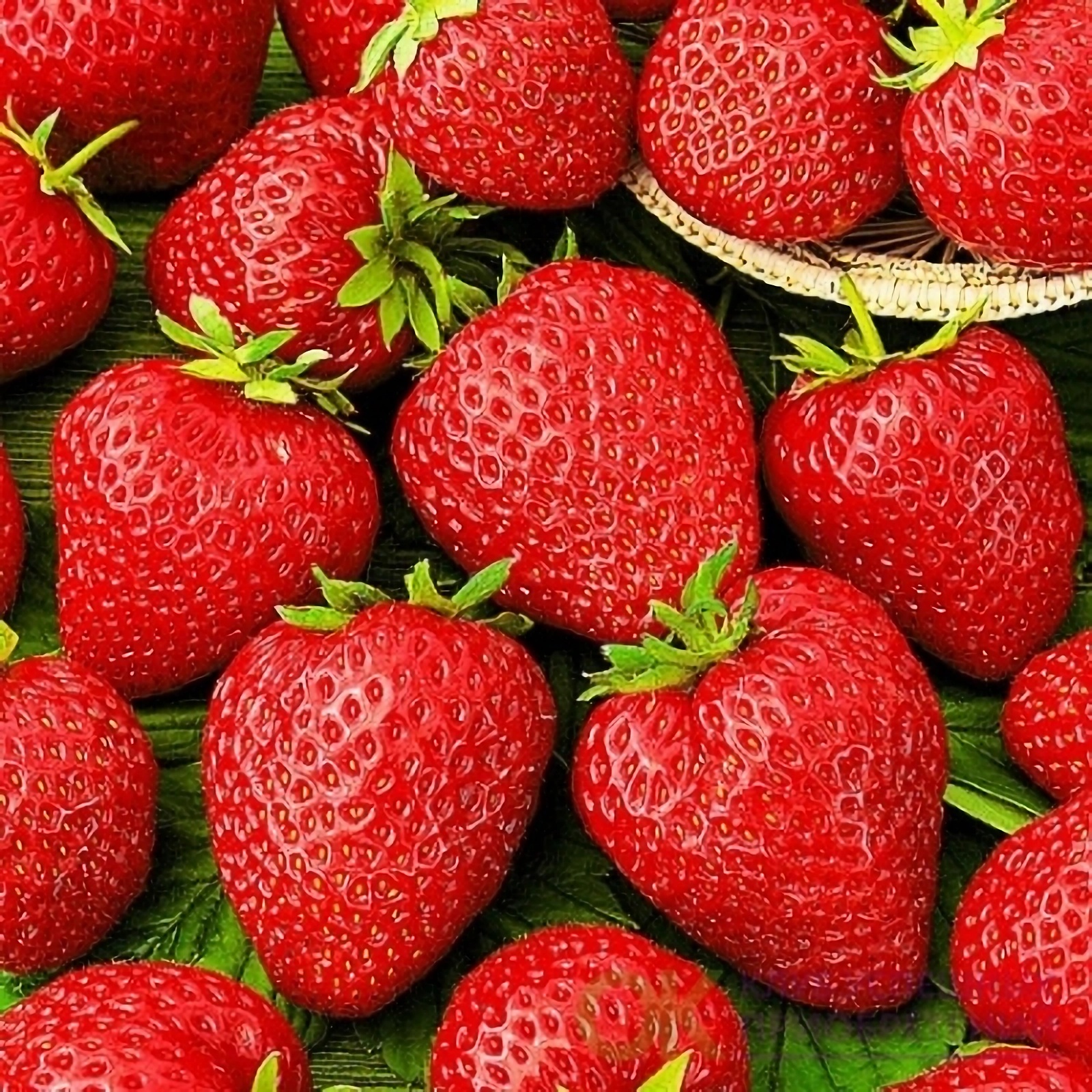 Превью изображения