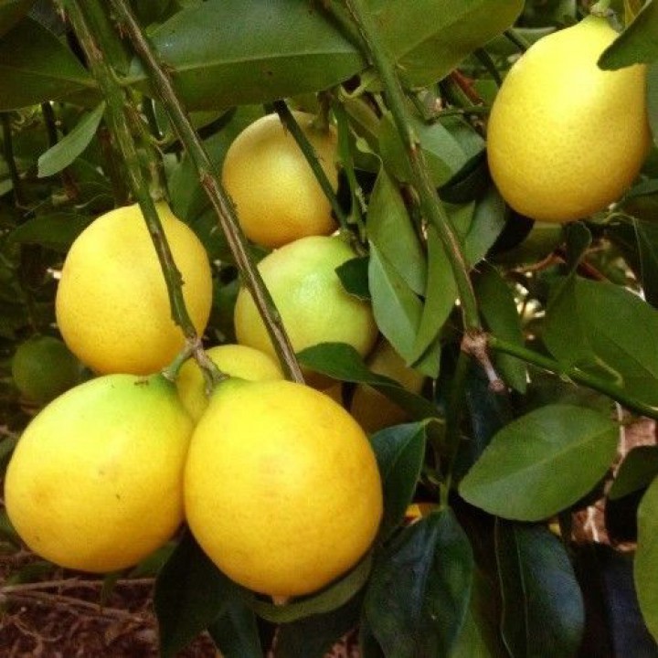 Превью изображения