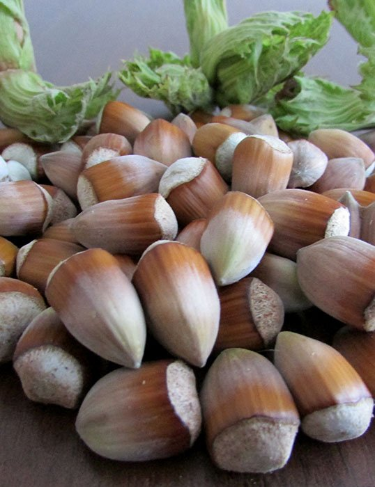 Превью изображения