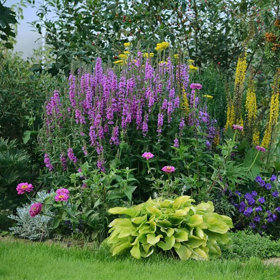 Превью изображения