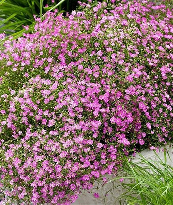 Превью изображения