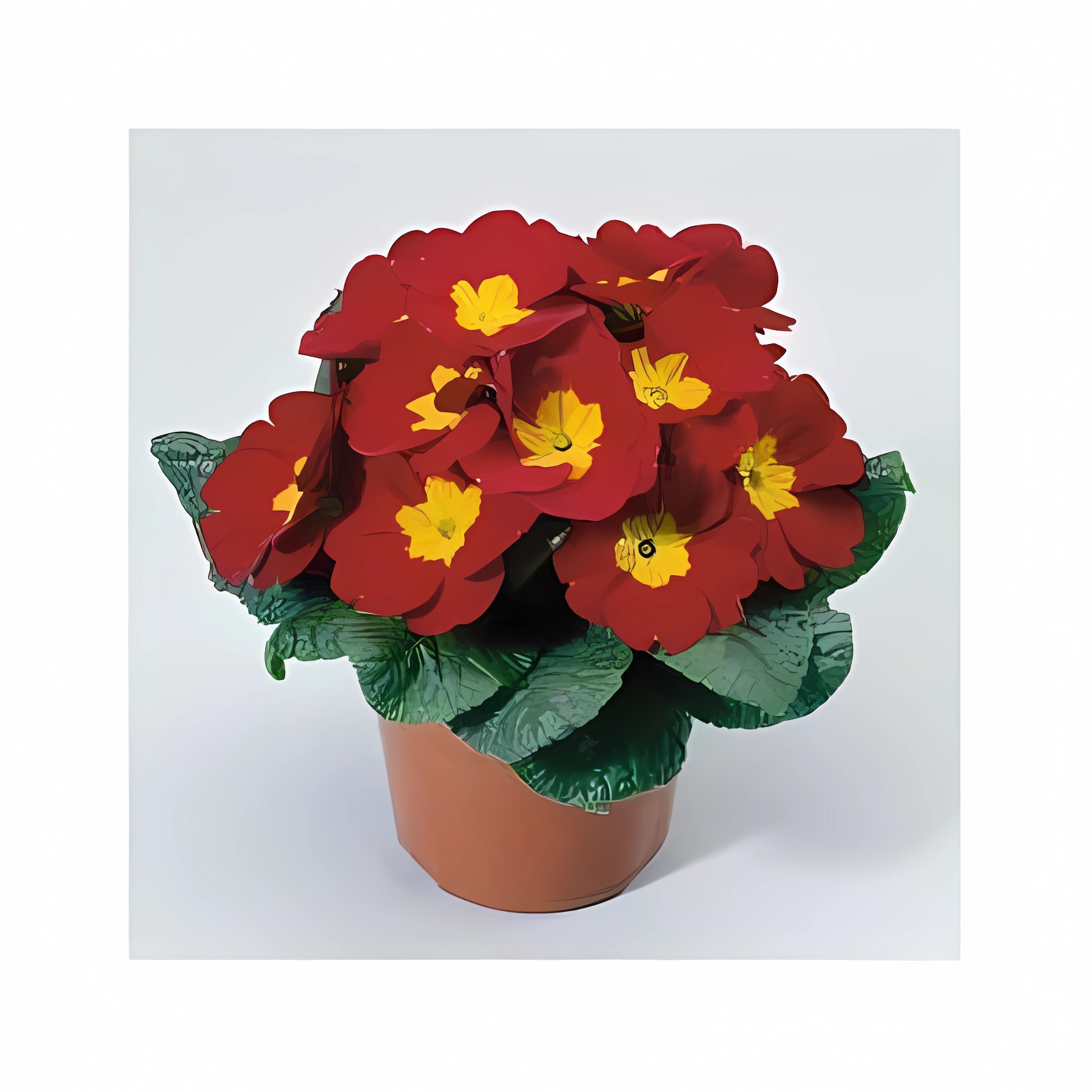 Превью изображения