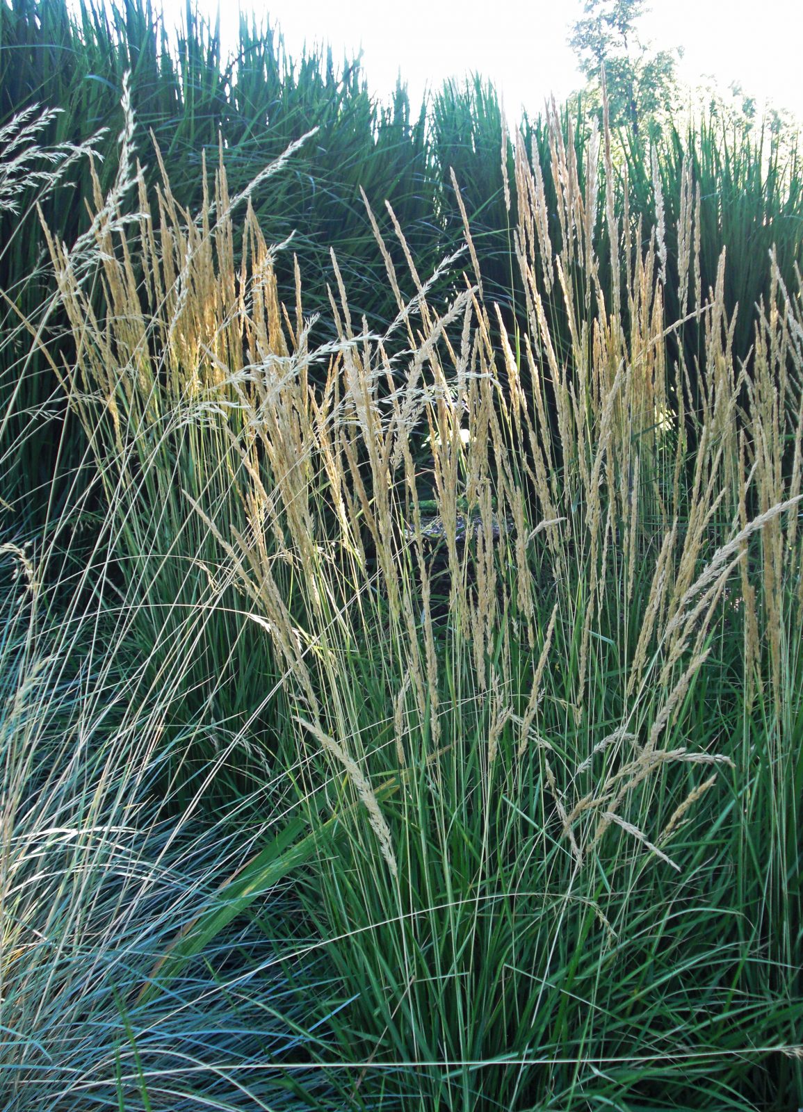 Превью изображения