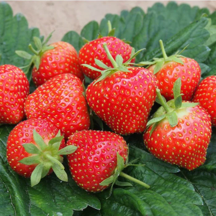 Превью изображения