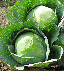 Превью изображения