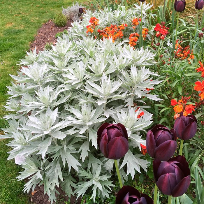 Превью изображения