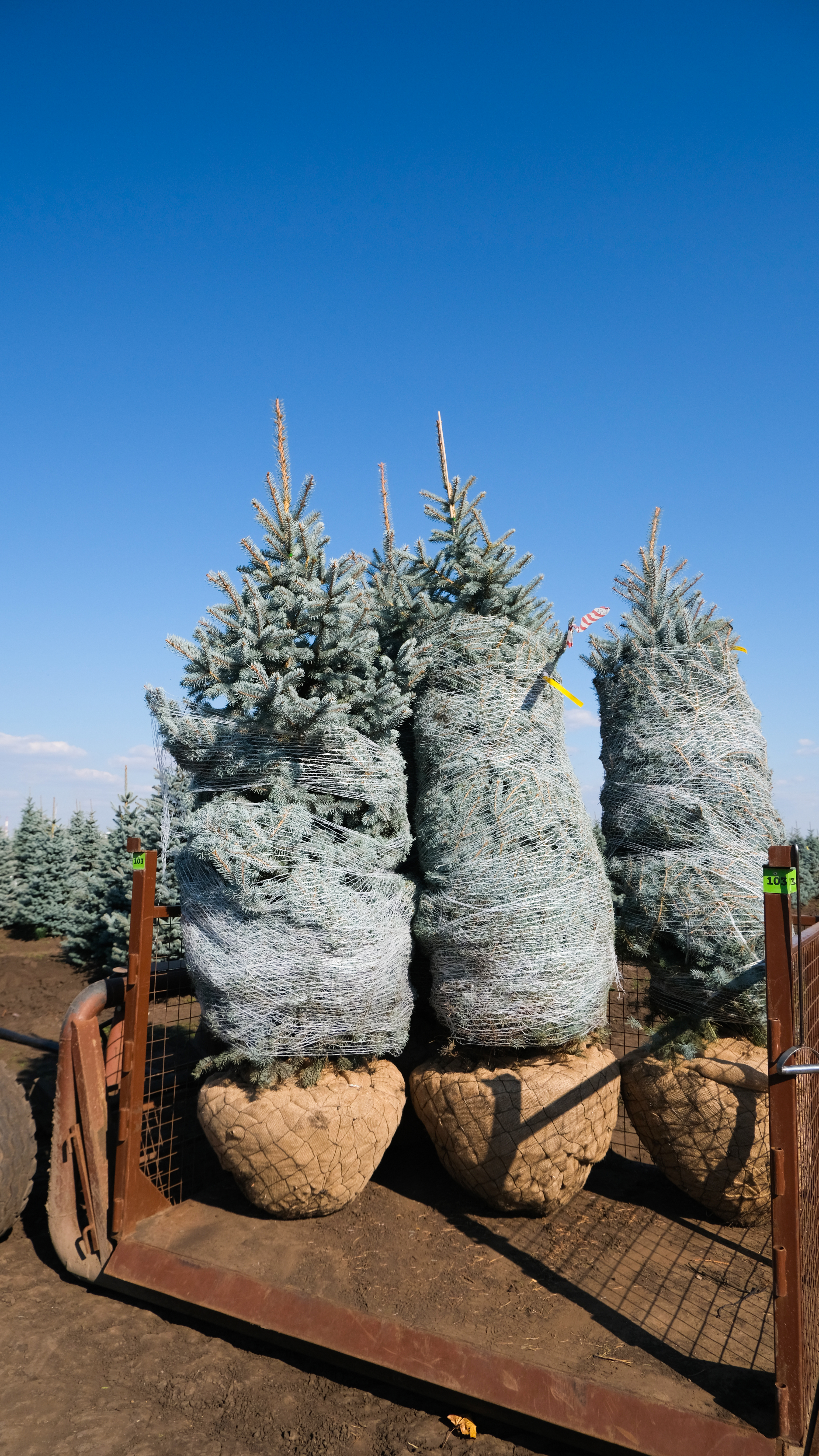 Превью изображения