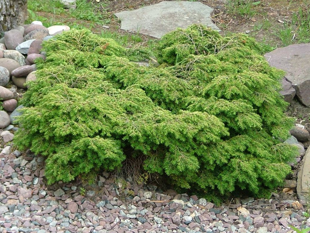 Превью изображения