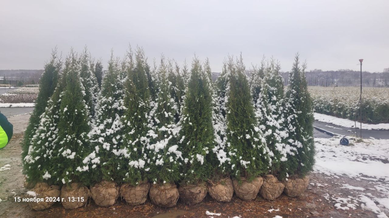 Превью изображения