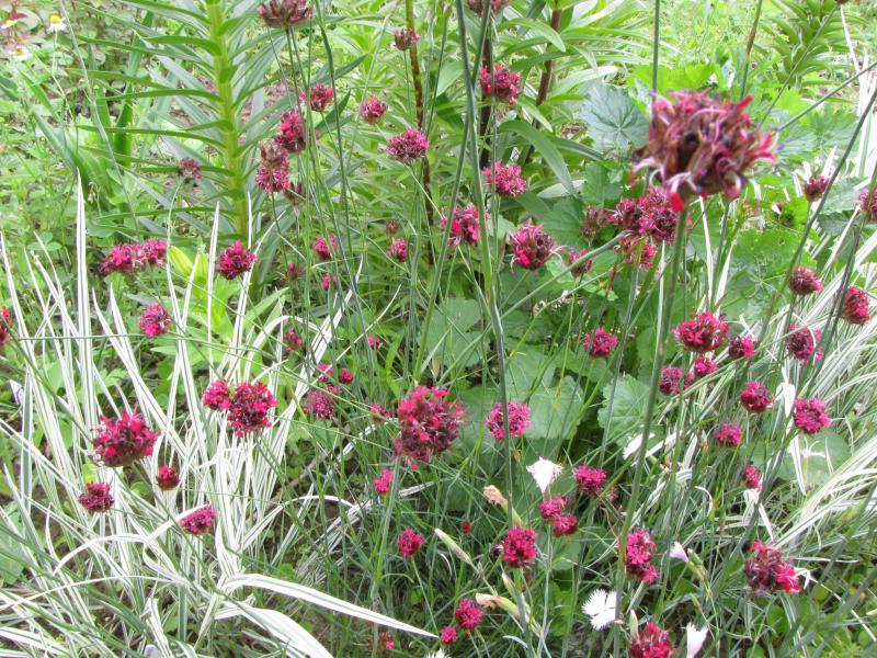 Превью изображения