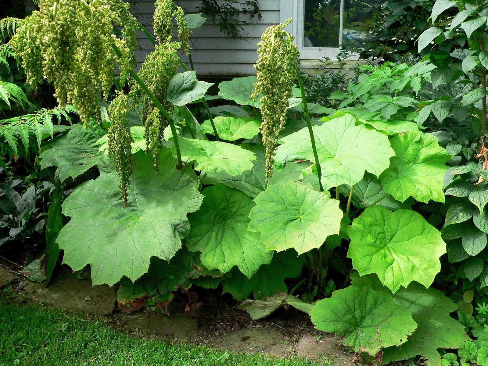 Превью изображения